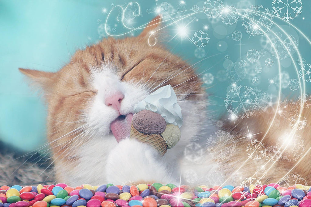 What Human Foods Are Safe For Cats?