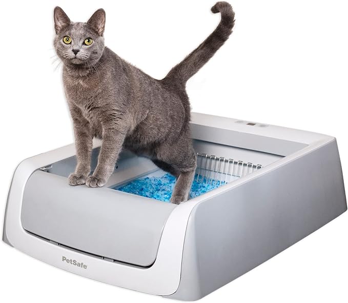 PetSafe ScoopFree Complete Plus Self-Cleaning Cat Litterbox