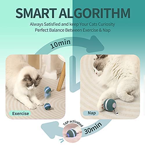 boqii Cat Toys for Indoor Cats Smart Balls