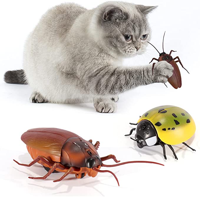 Lylyzoo Toy Cockroach for Indoor Cats