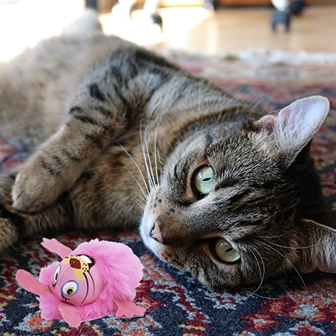 DAJOOEE Catnip Assorted Feather Cat Toys