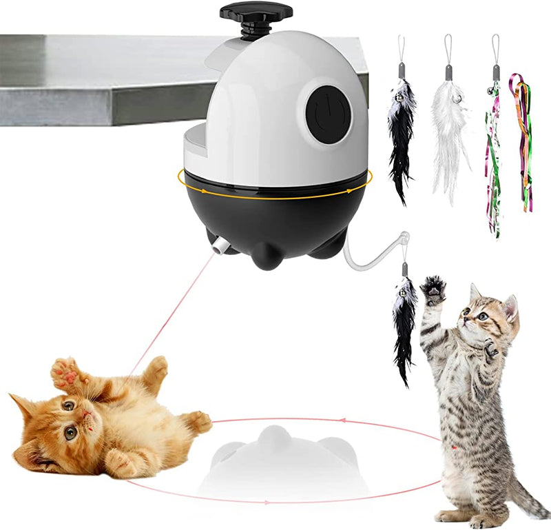 RIOFLY Cat Toys Interactive