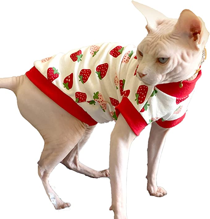 Sphynx Cat Summer Clothes