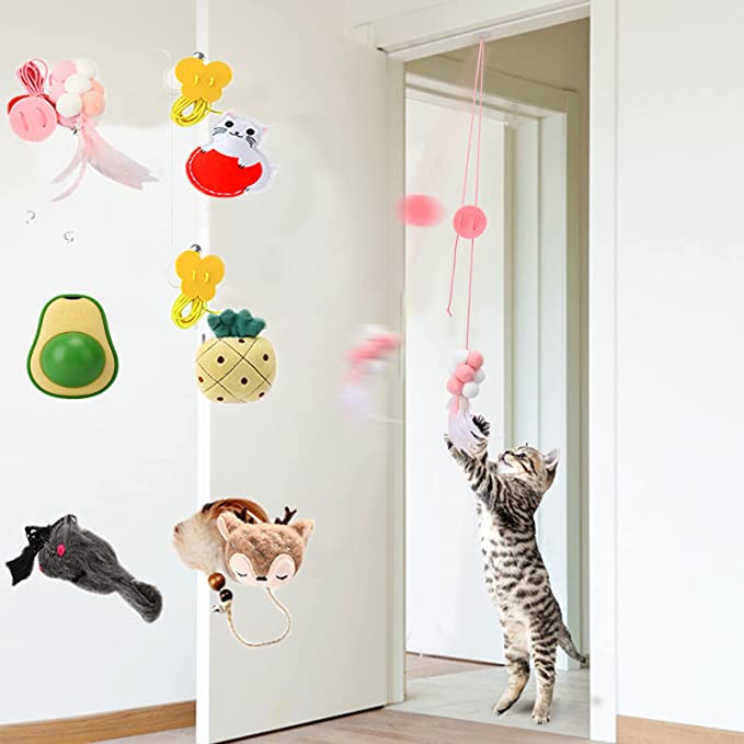 Ctznxiy Catnip Toys,Cat Toys for Indoor Cats