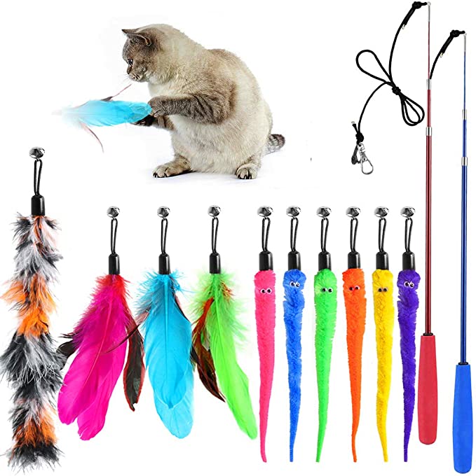 SYEENIFY Cat Toys Kitten Toys Assortments