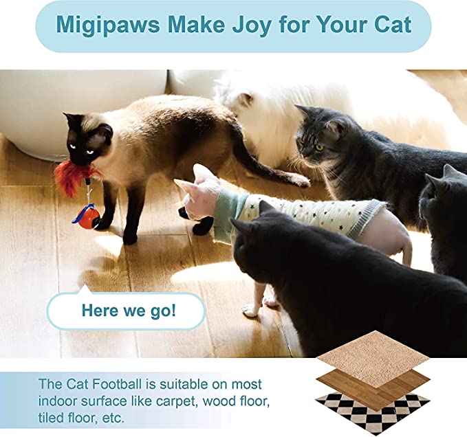 Migipaws Cat Toy, Automatic Moving Ball Bundle Classic Mice + Feather Kitten Toys in Pack