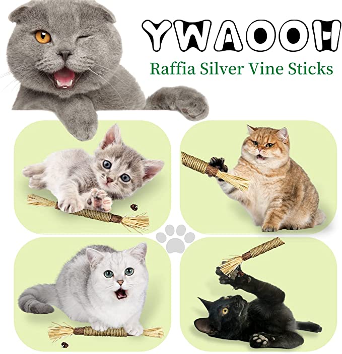 Catnip Toys with Silvervine for Cats
