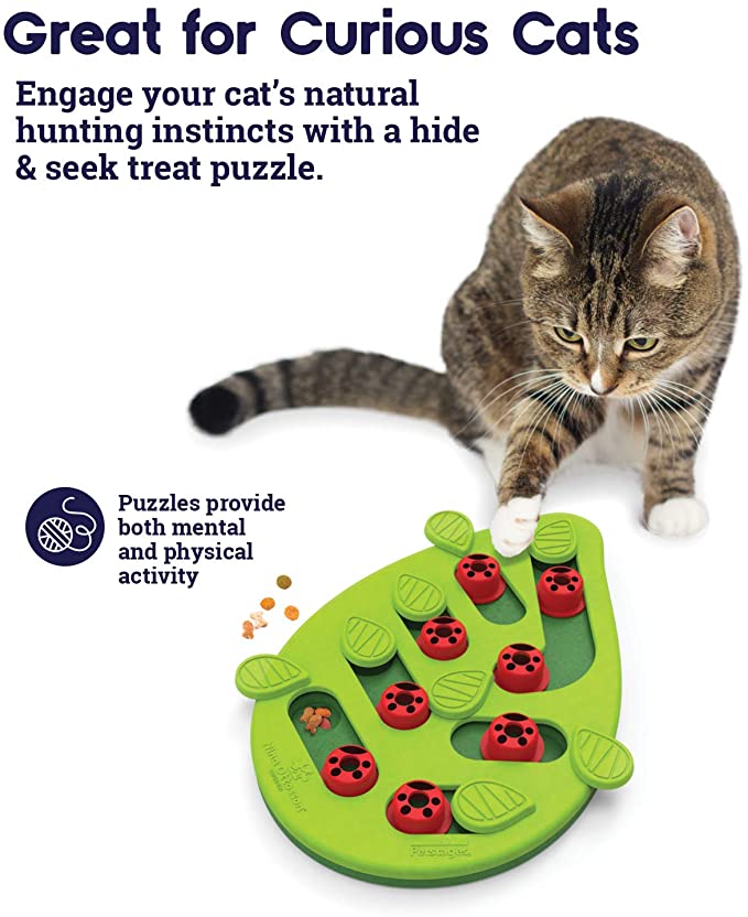 Nina Ottosson by Petstages Buggin' Out Puzzle & Play