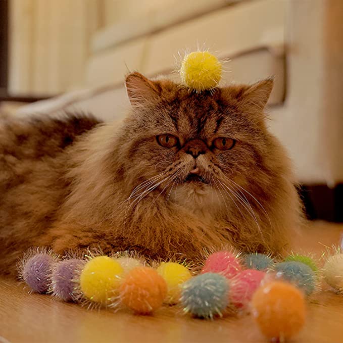 Rimobul Cat's Favorite Chase Glitter Ball