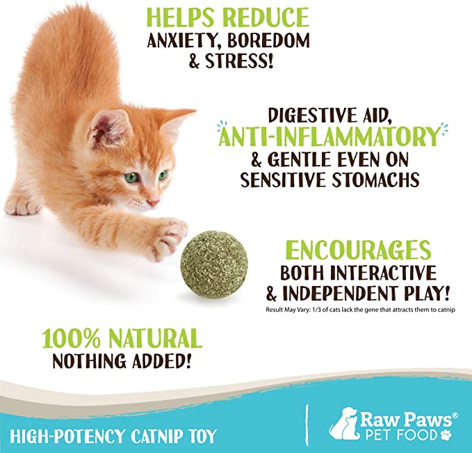 Raw Paws Compressed Catnip Ball Toy