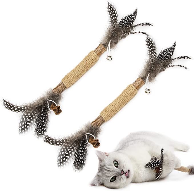 Cat Toys Feather Catnip Toy