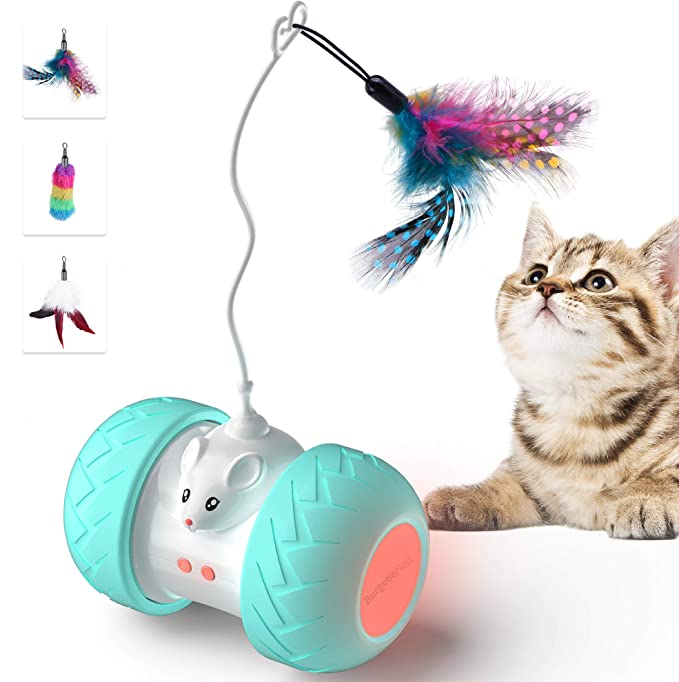 BurgeonNest Interactive Cat Toys for Indoor Cats
