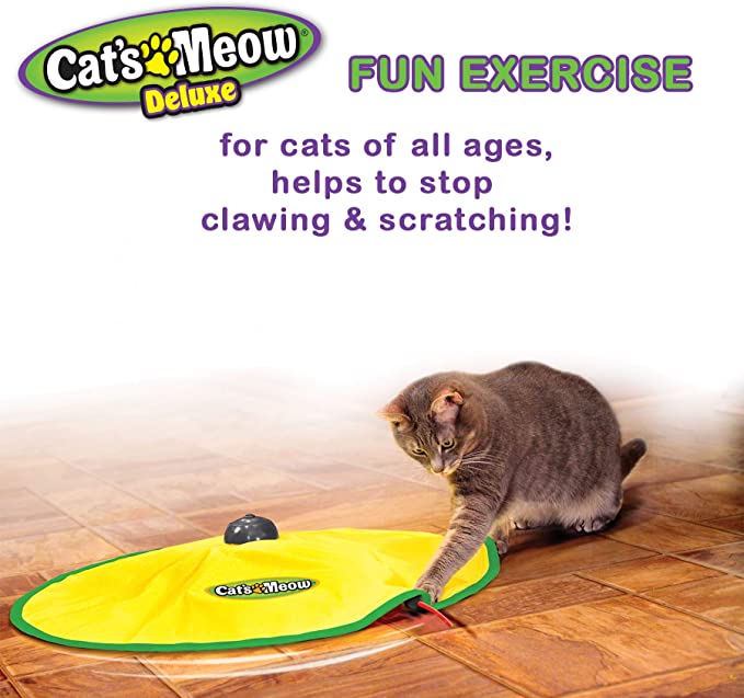 Cat's Meow- Motorized Wand Cat Toy