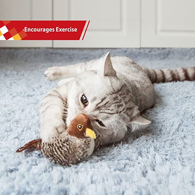 GiGwi Interactive Automatic Cat Toy
