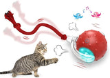 nteractive Cat Toys Ball for Indoor Cats Fast Rolling on Carpet, Chirping & Motion Activate Cat Toys (Red)