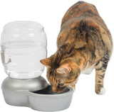 Petmate Replendish Automatic Gravity Waterer for Cats