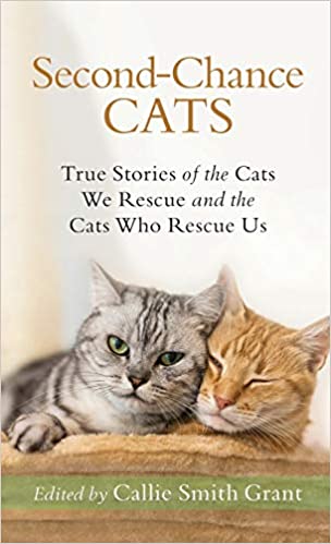 Second-Chance Cats