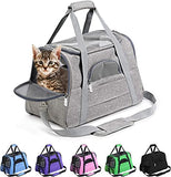 Prodigen Pet Carrier Airline Approved Cat Carriers