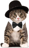 HUYADAPI Pet Bow Tie Adjustable Formal Collar Neck Tie and Costume Company Top Hat for Cats