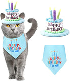 Cat Happy Birthday Hat with Colorful Candles