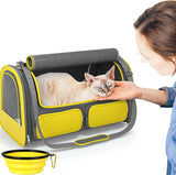 Cat Carrier Pet Carrier Airline Approved