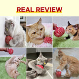 JAYU PET Red Cat Ball - Cat Toys Kitten Toys